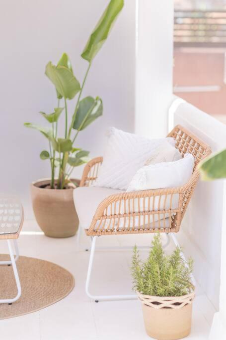 Downtown Flat With 46 Sqm Private Rooftop Terrace Málaga Extérieur photo